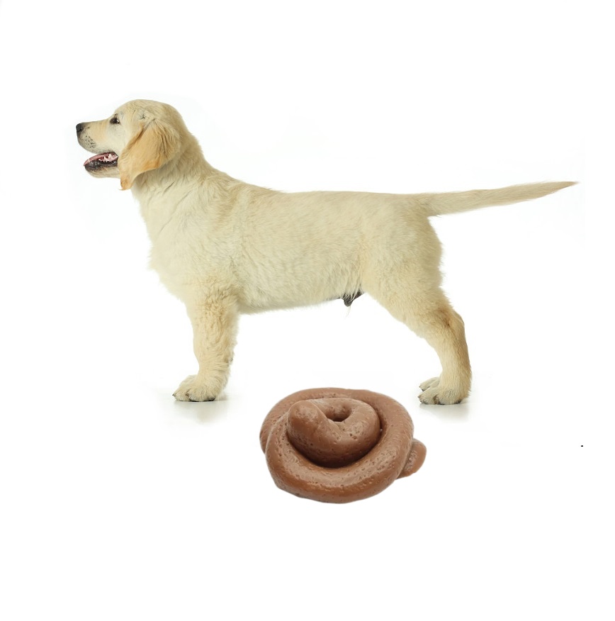 Fake Poop Gag Gift - 재미있는 장난용 똥 모양 스퀴시 장난감