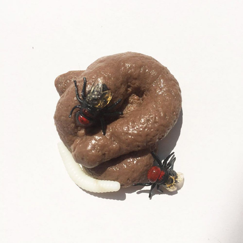 진짜 같은 가짜 똥 장난감, 클래식 농담, 재미있는 가 - Fake Poop Gag Gift 리뷰 및 가격